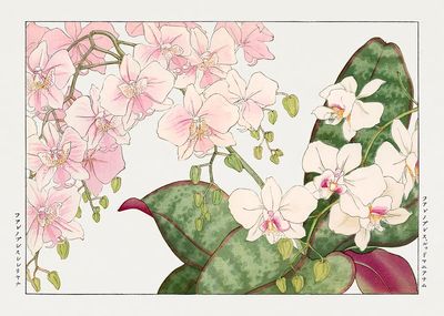 Vintage orchid flower, ukiyo e. poster