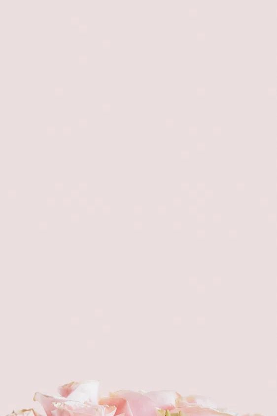 Light pink roses pastel pink. poster — botanical art