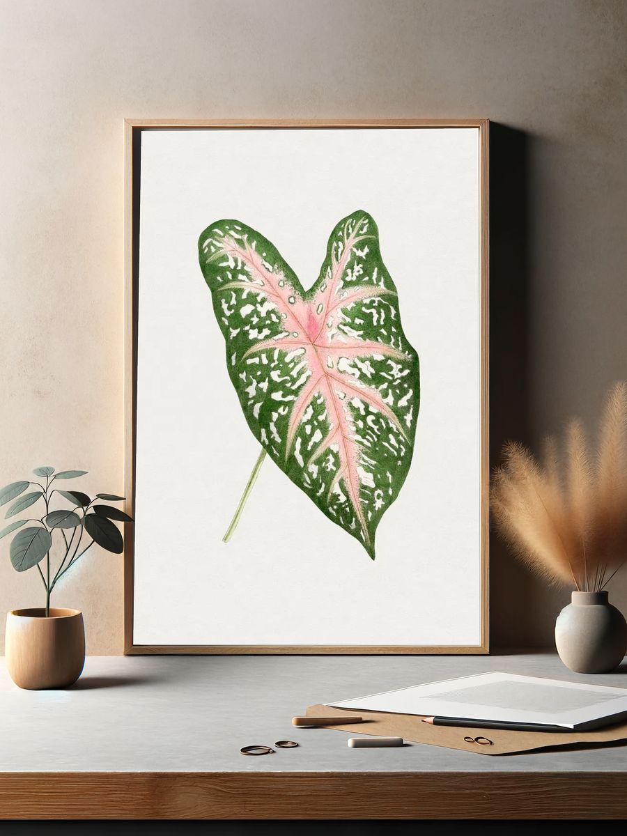 Hand drawn caladium Carolyn Whorton. — room view 2