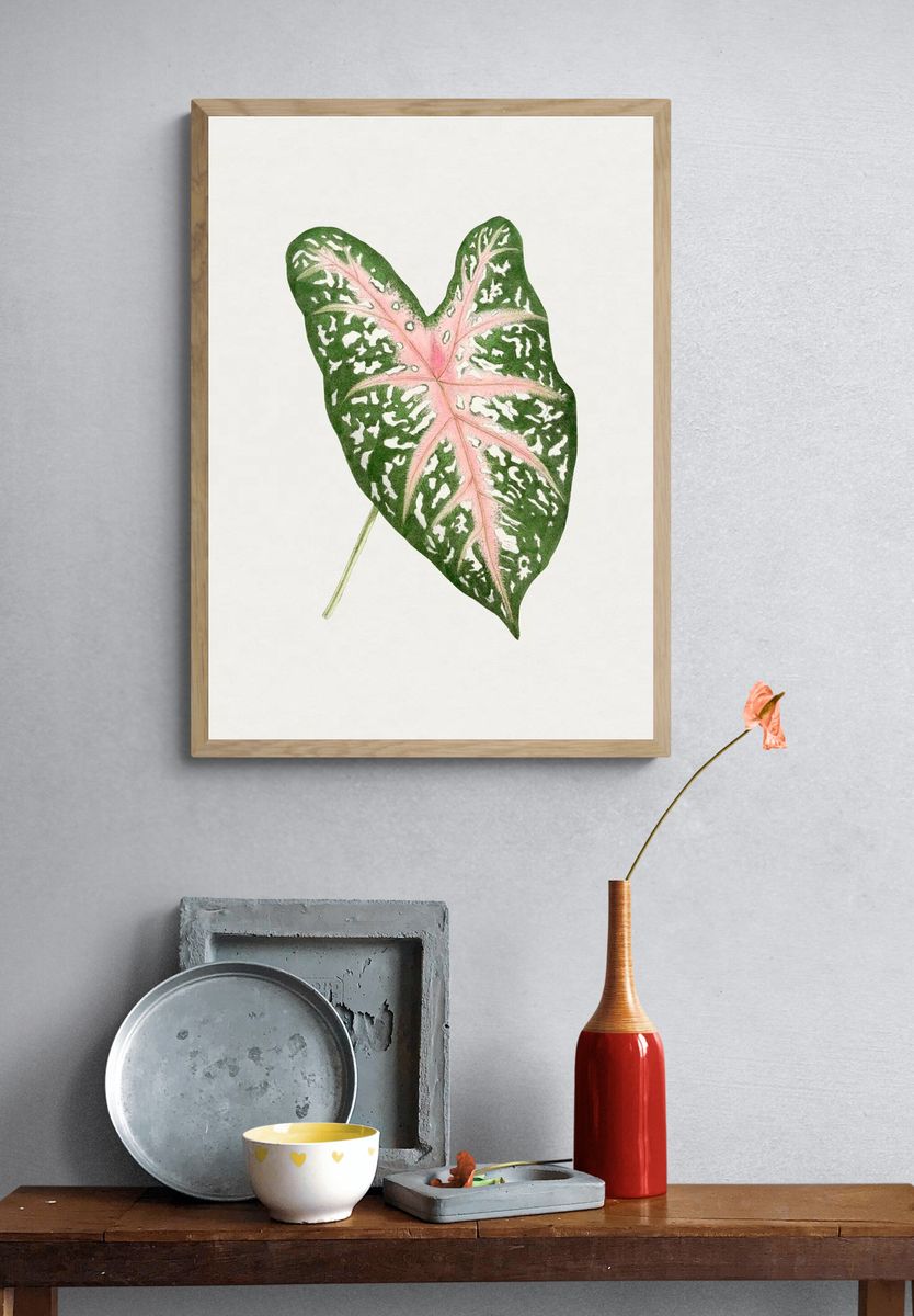 Hand drawn caladium Carolyn Whorton. — room view 3