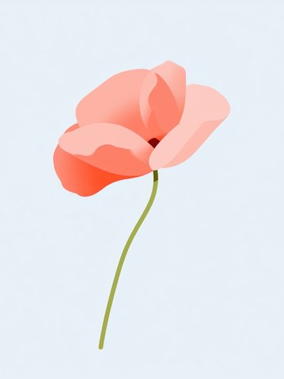 Coral Poppy Minimalist Print. poster