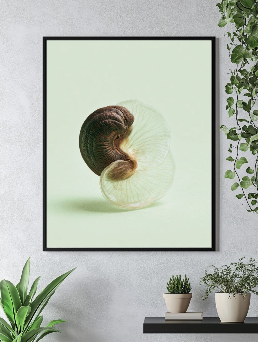 Nautilus Shell Minimalist Print. — room view 4