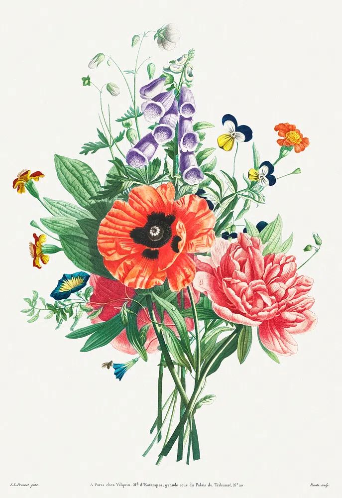 Collection Flowers Fruits Painted Nature. poster — botanical art
