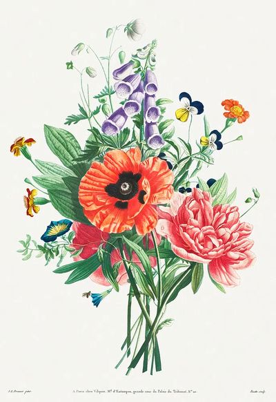 Collection Flowers Fruits Painted Nature.