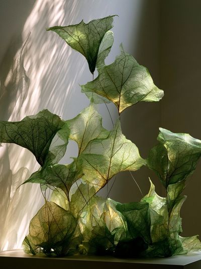 Translucent Green Leaves Photography Poster.