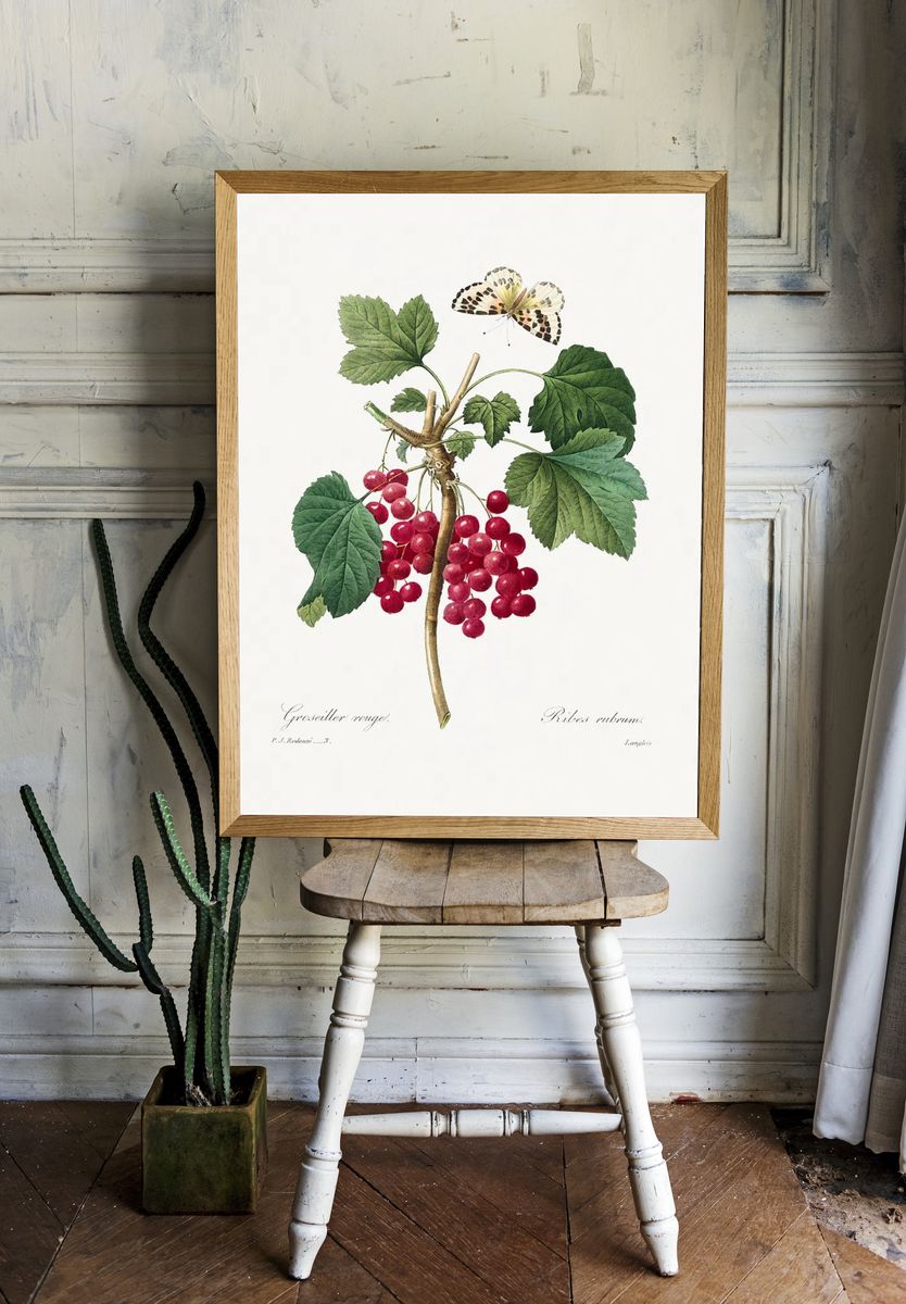 Red Currant Choix des plus. — room view 1