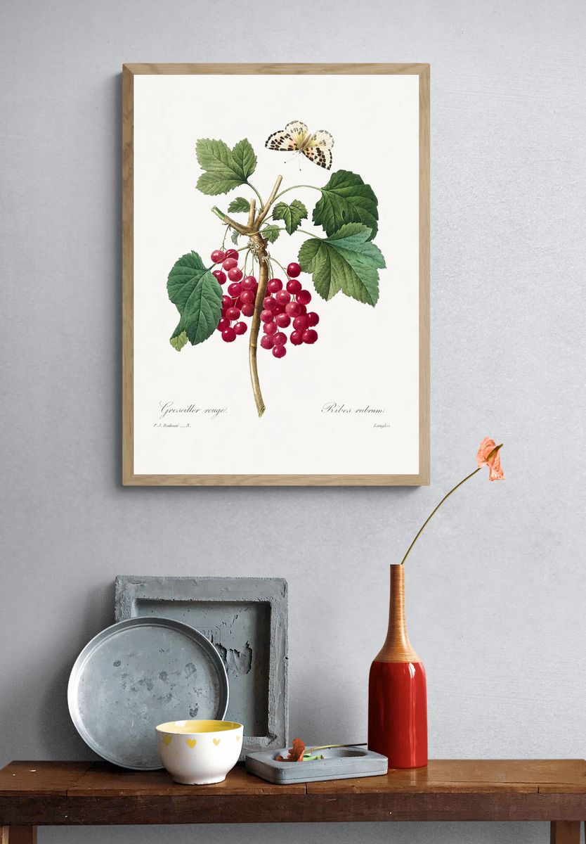 Red Currant Choix des plus. — room view 3