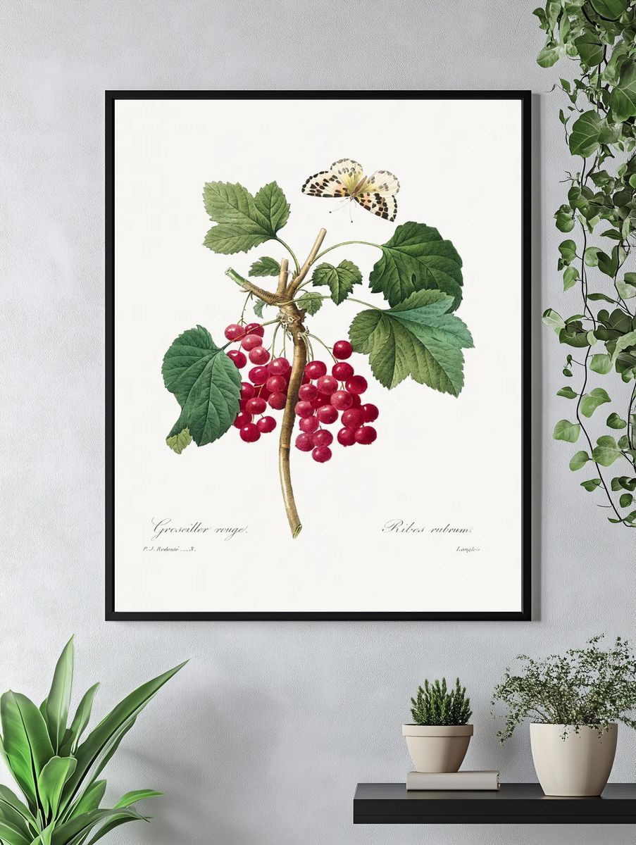 Red Currant Choix des plus. — room view 4