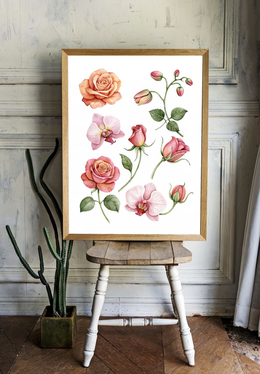 Pink Roses Botanical Print. room preview
