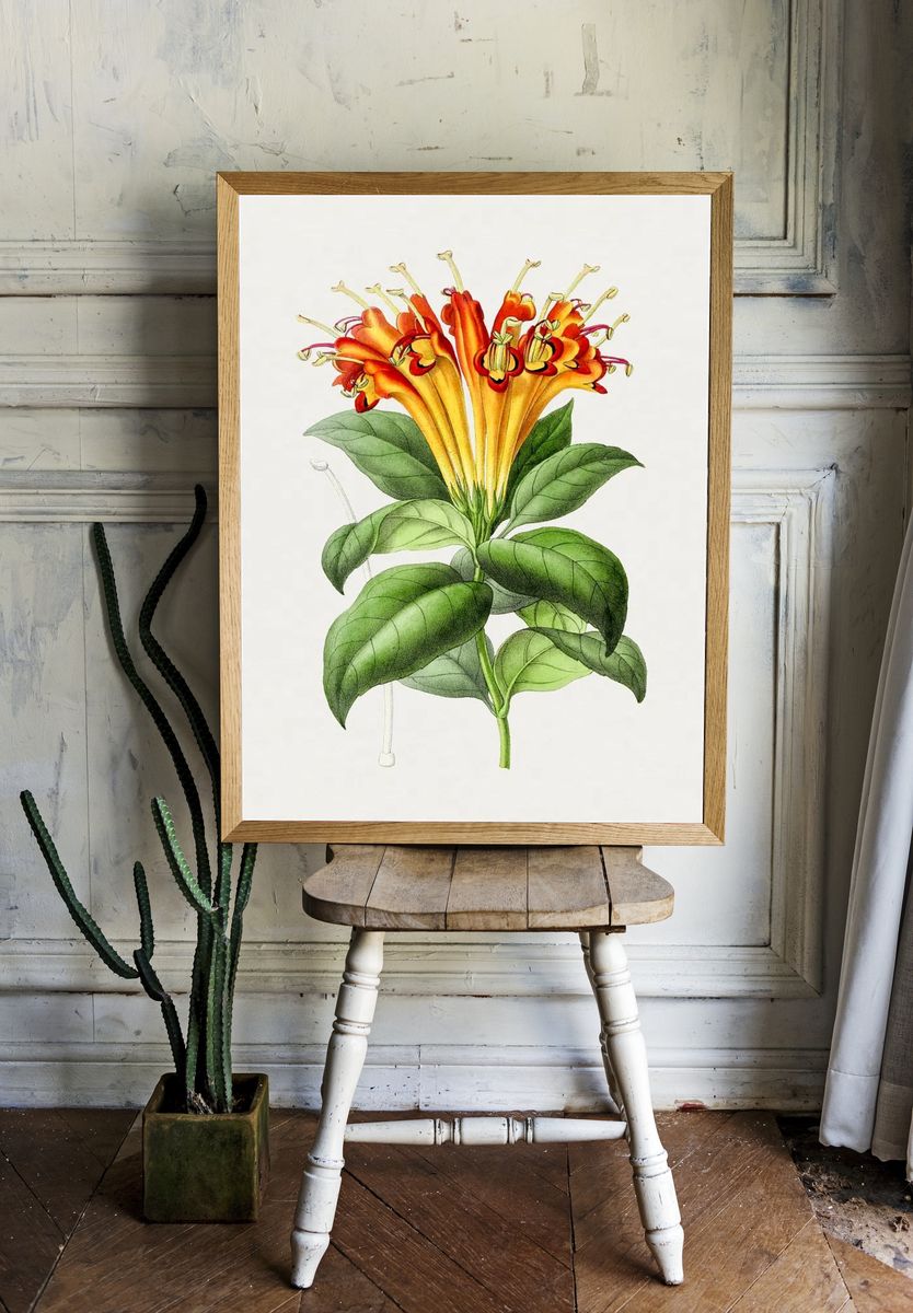 Hand drawn honeysuckle flower. Original. room preview