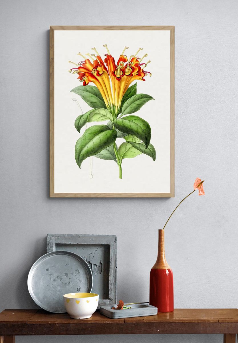 Hand drawn honeysuckle flower. Original. — room view 3