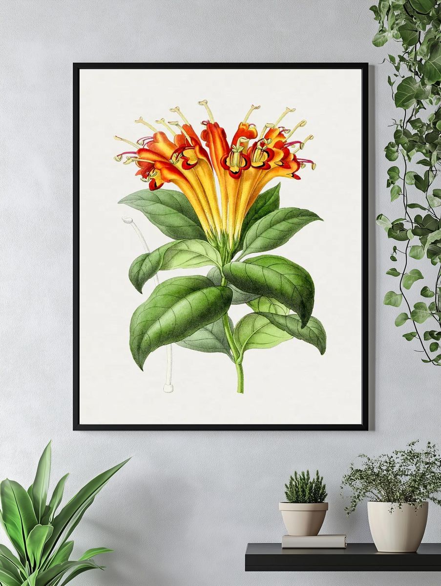 Hand drawn honeysuckle flower. Original. — room view 4