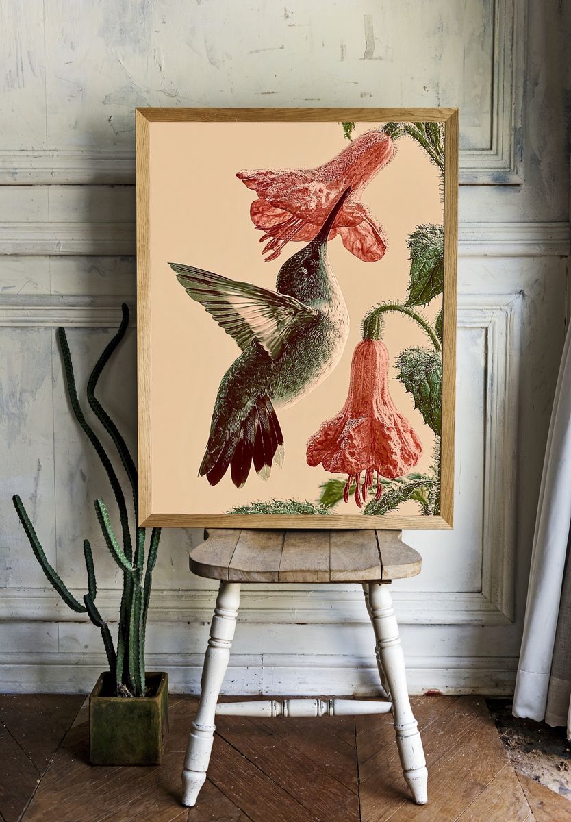 Hummingbird and Fuchsia Botanical Print. room preview