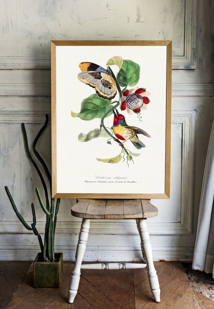 Versicolored barbet bird painting. Digitally. room preview