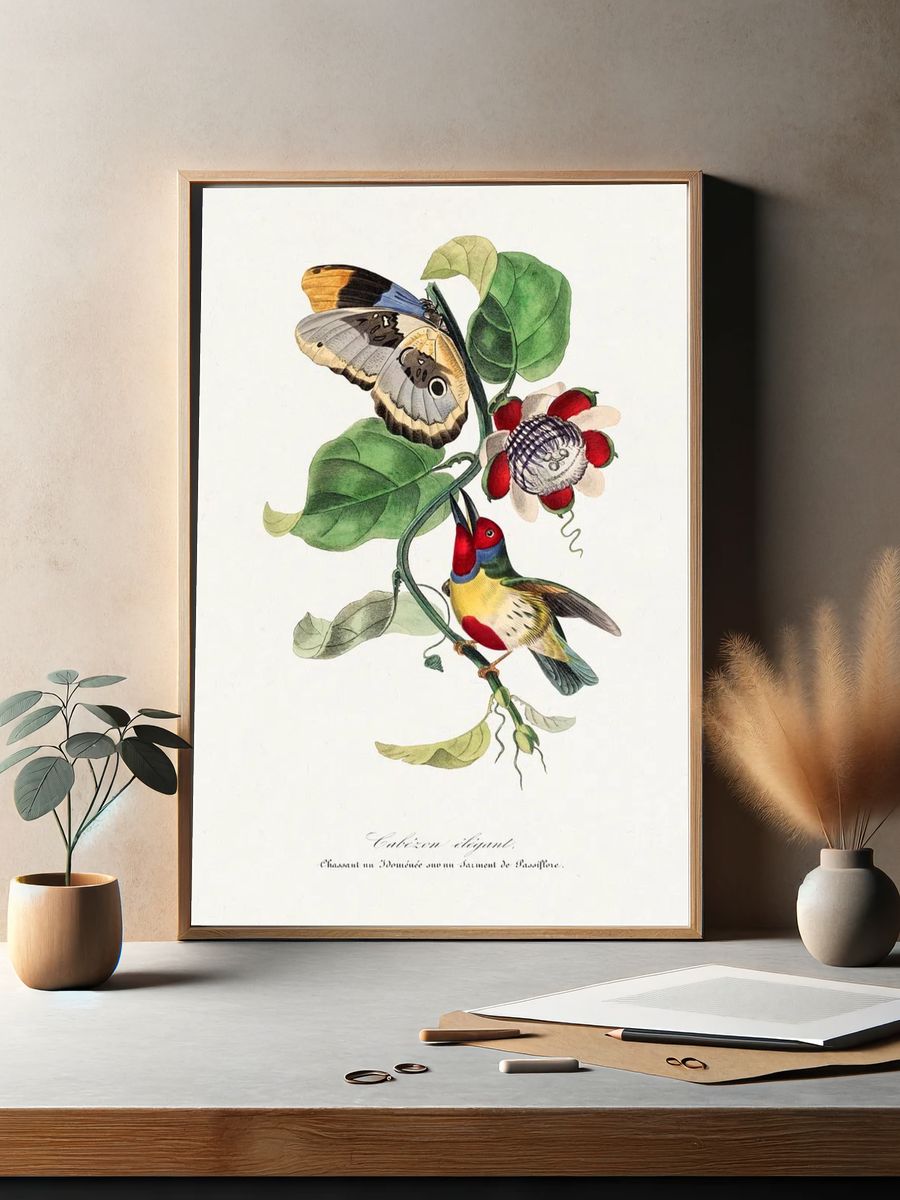 Versicolored barbet bird painting. Digitally. — room view 2