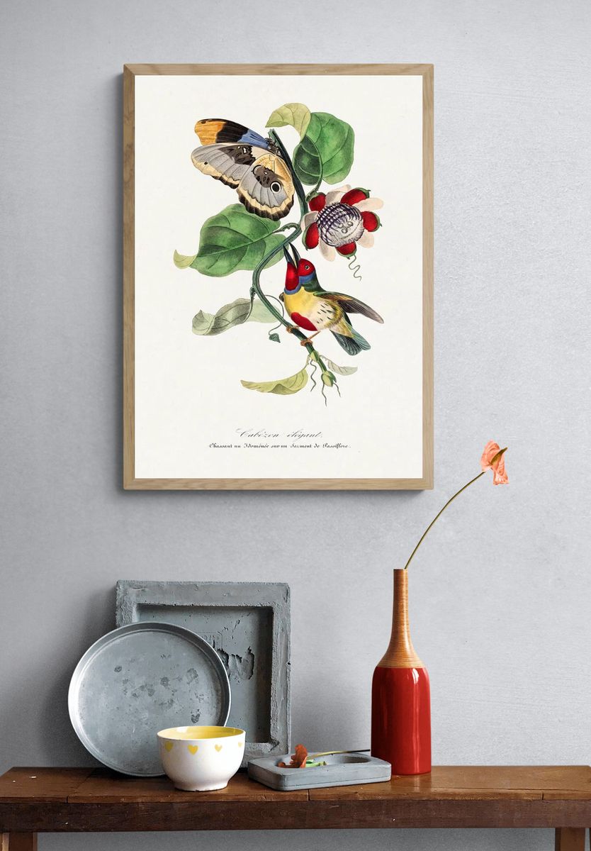 Versicolored barbet bird painting. Digitally. — room view 3