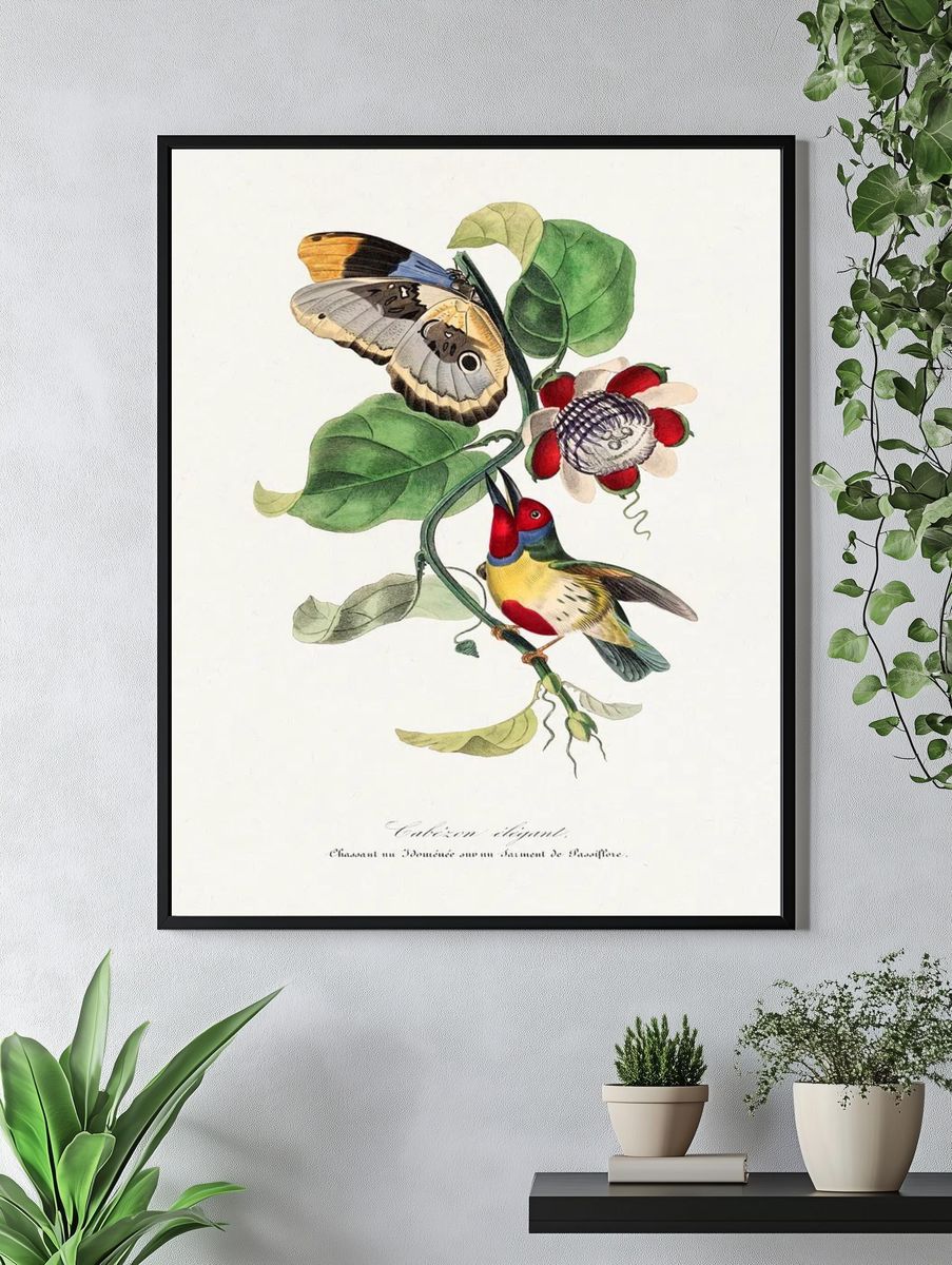 Versicolored barbet bird painting. Digitally. — room view 4