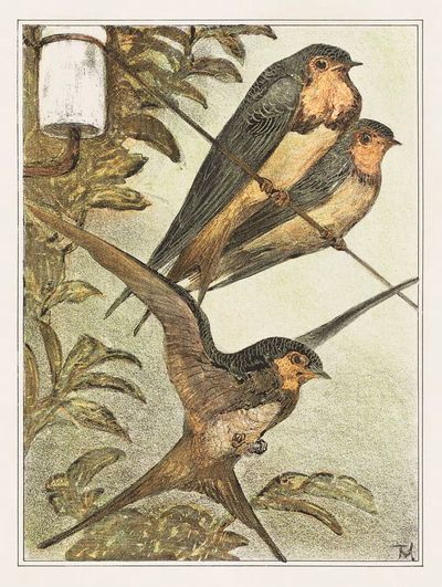 Drie zwaluwen (1878–1910) print high.