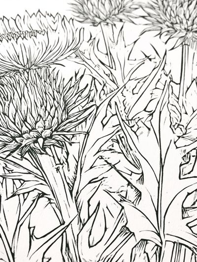 Thistle Bloom Line Art Poster.