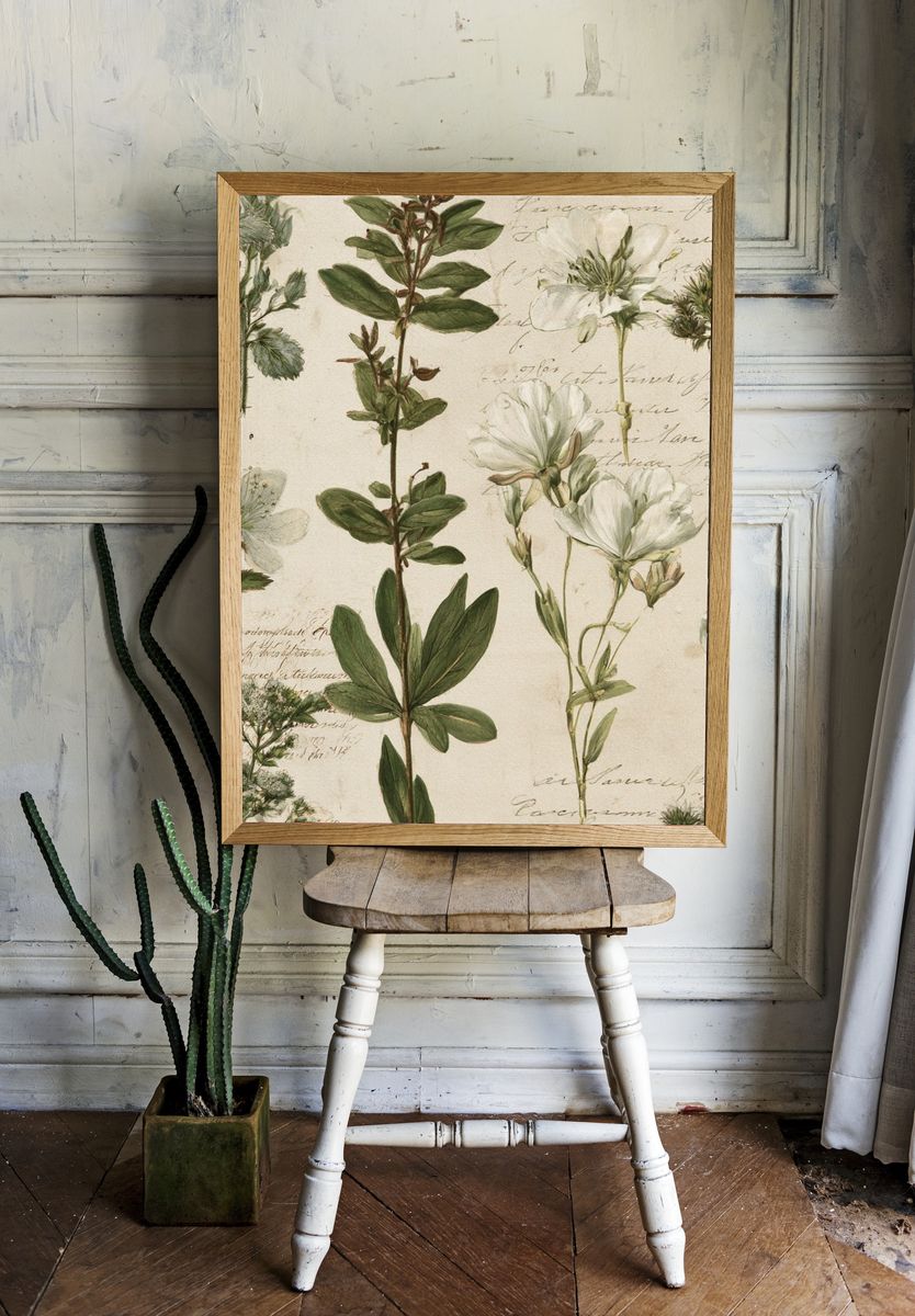 Vintage Botanical Study Poster. room preview