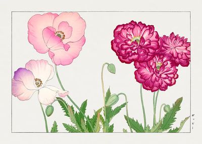 Vintage poppy flower, ukiyo e. poster