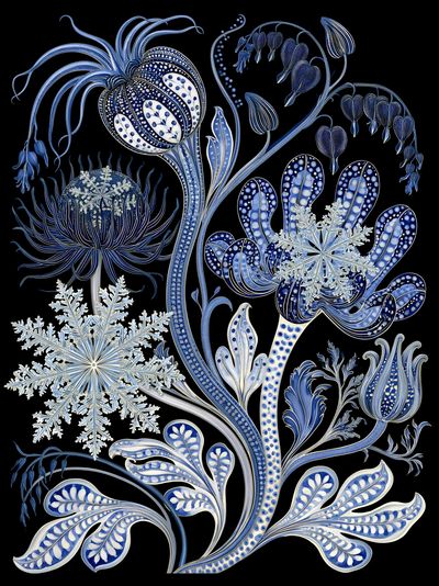 Blue Botanical Winter Poster.