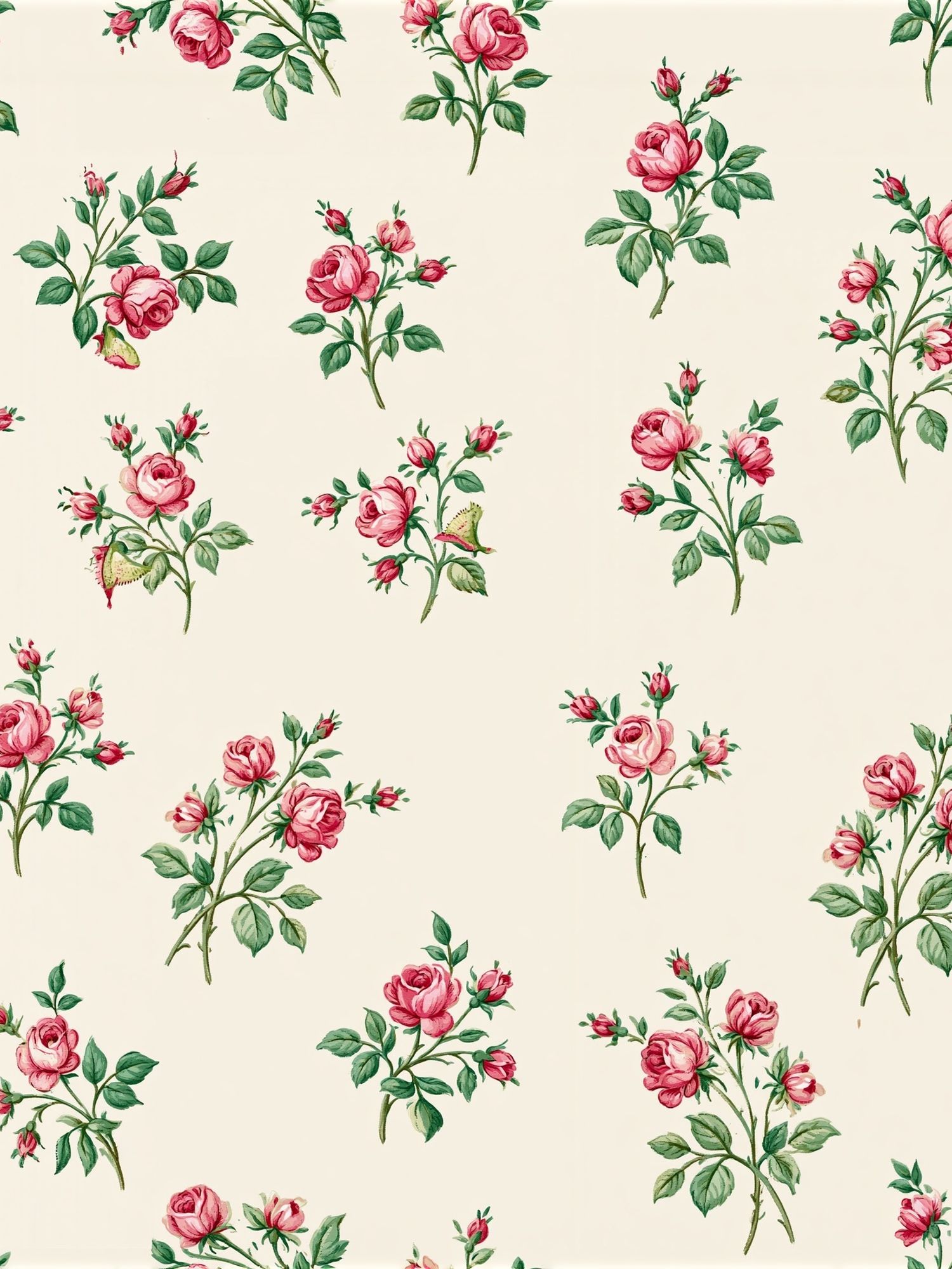 Pink Rose Botanical Pattern Poster. poster detail