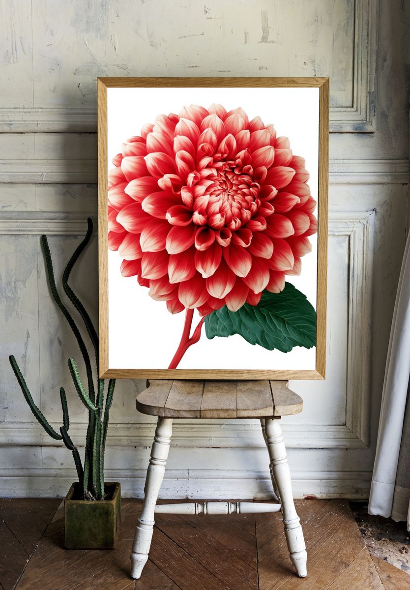 Red Dahlia Botanical Print. room preview