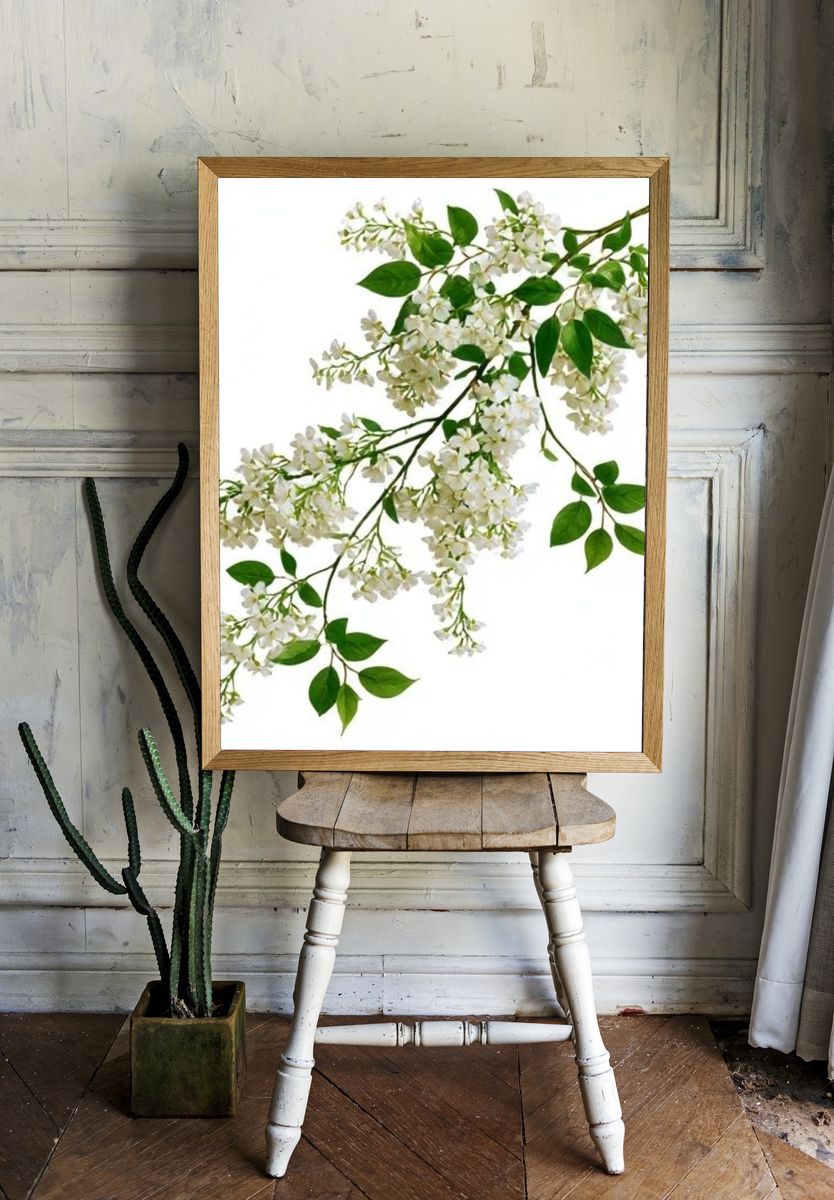 White Blossom Botanical Print. — room view 1
