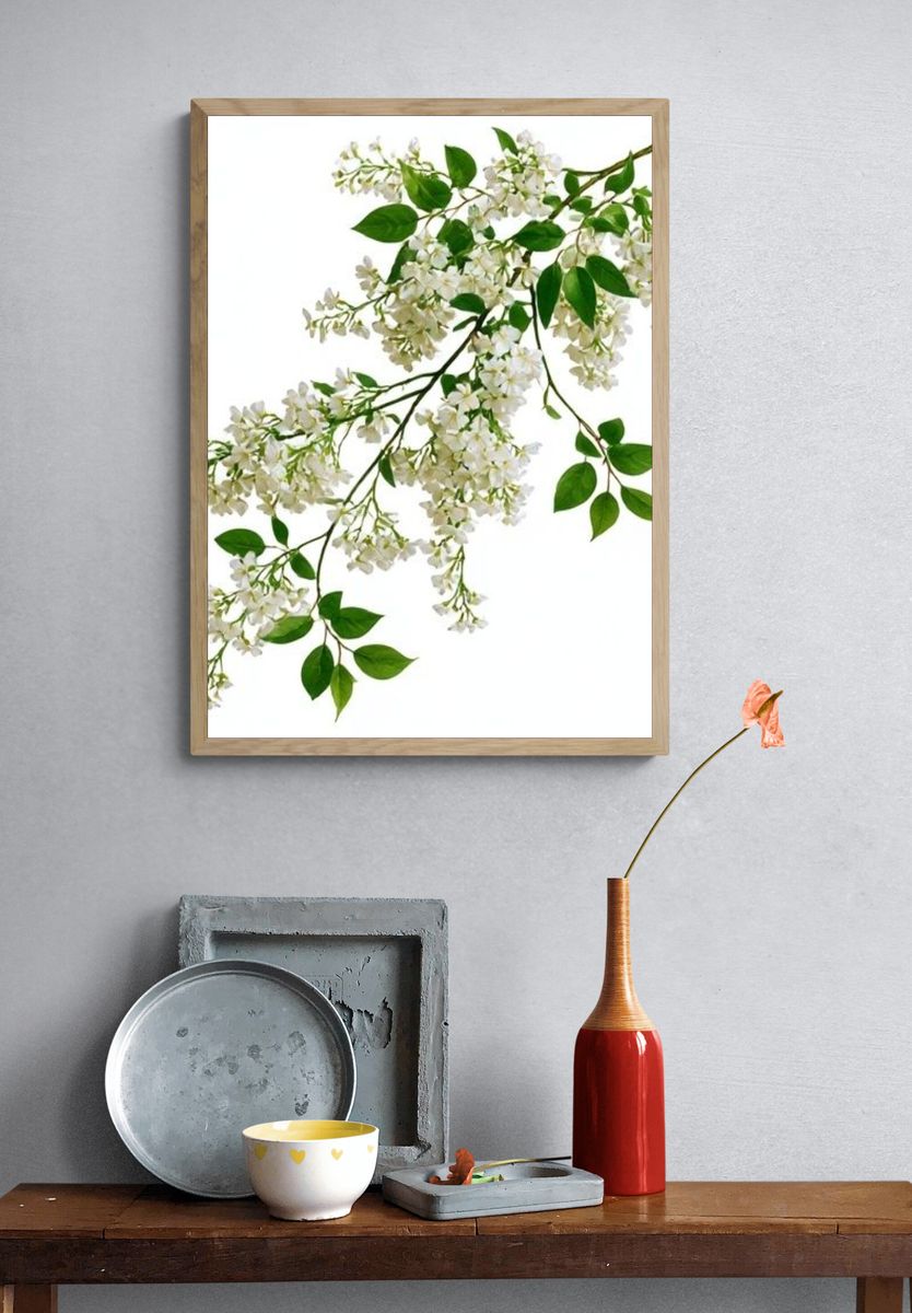 White Blossom Botanical Print. — room view 3
