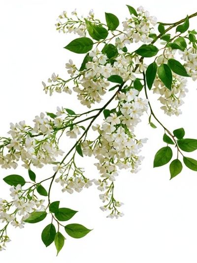 White Blossom Botanical Print.