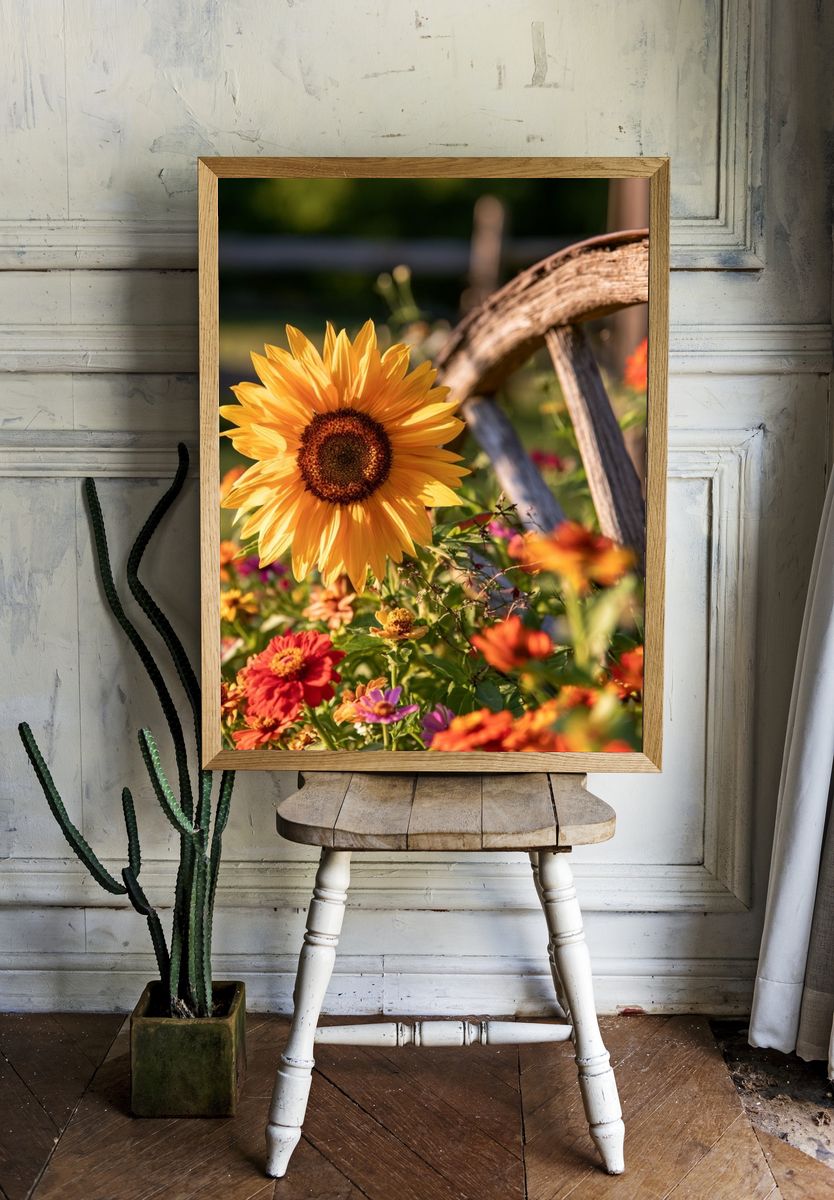 Sunflower Garden Bloom Print. room preview
