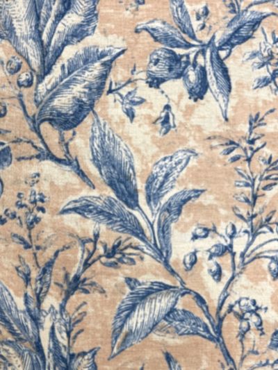 Blue Botanical Toile Print.