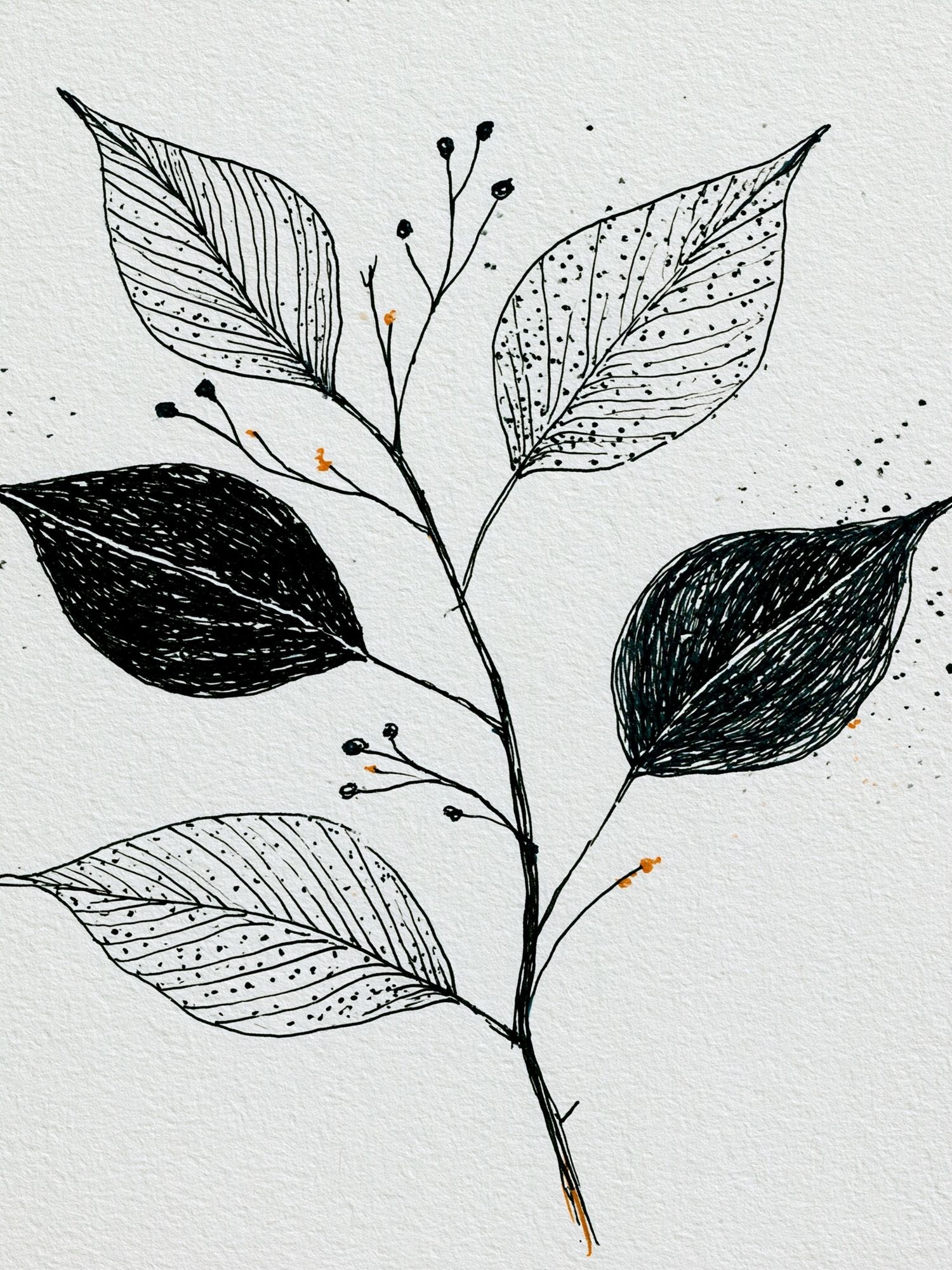 Botanical Ink Leaves Print. poster detail