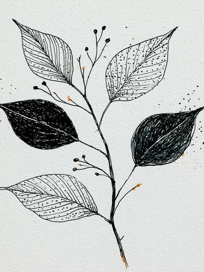 Botanical Ink Leaves Print. poster