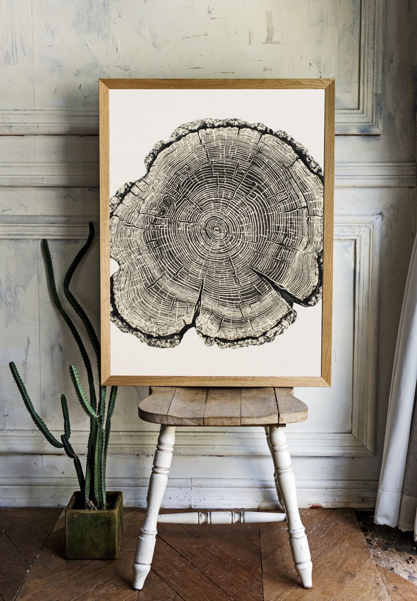 Tree Ring Botanical Print. — room view 1