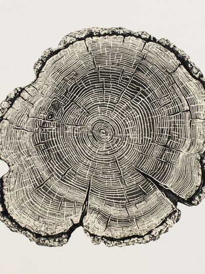 Tree Ring Botanical Print.