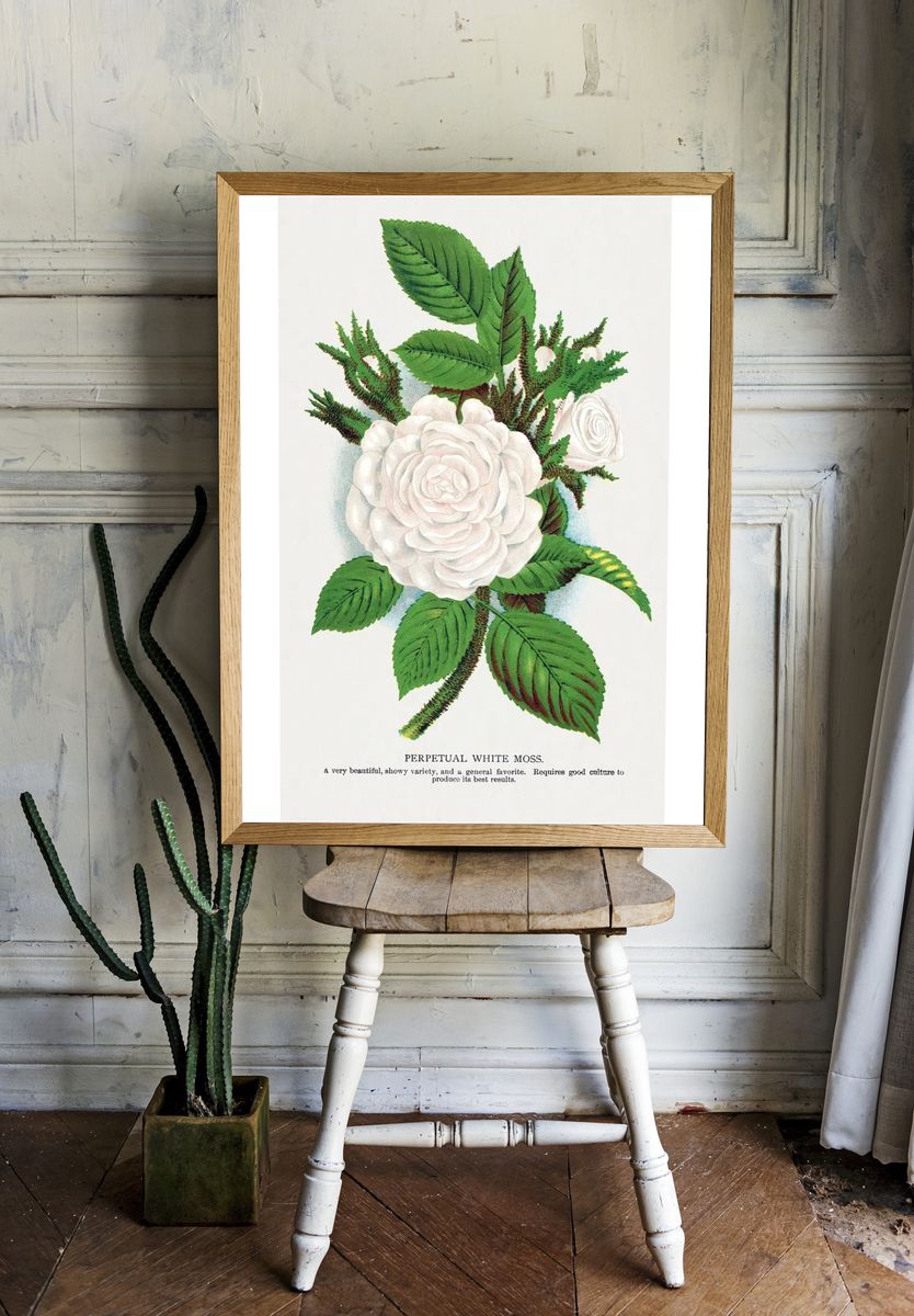 Perpetual White Moss Botanical Print. — room view 1