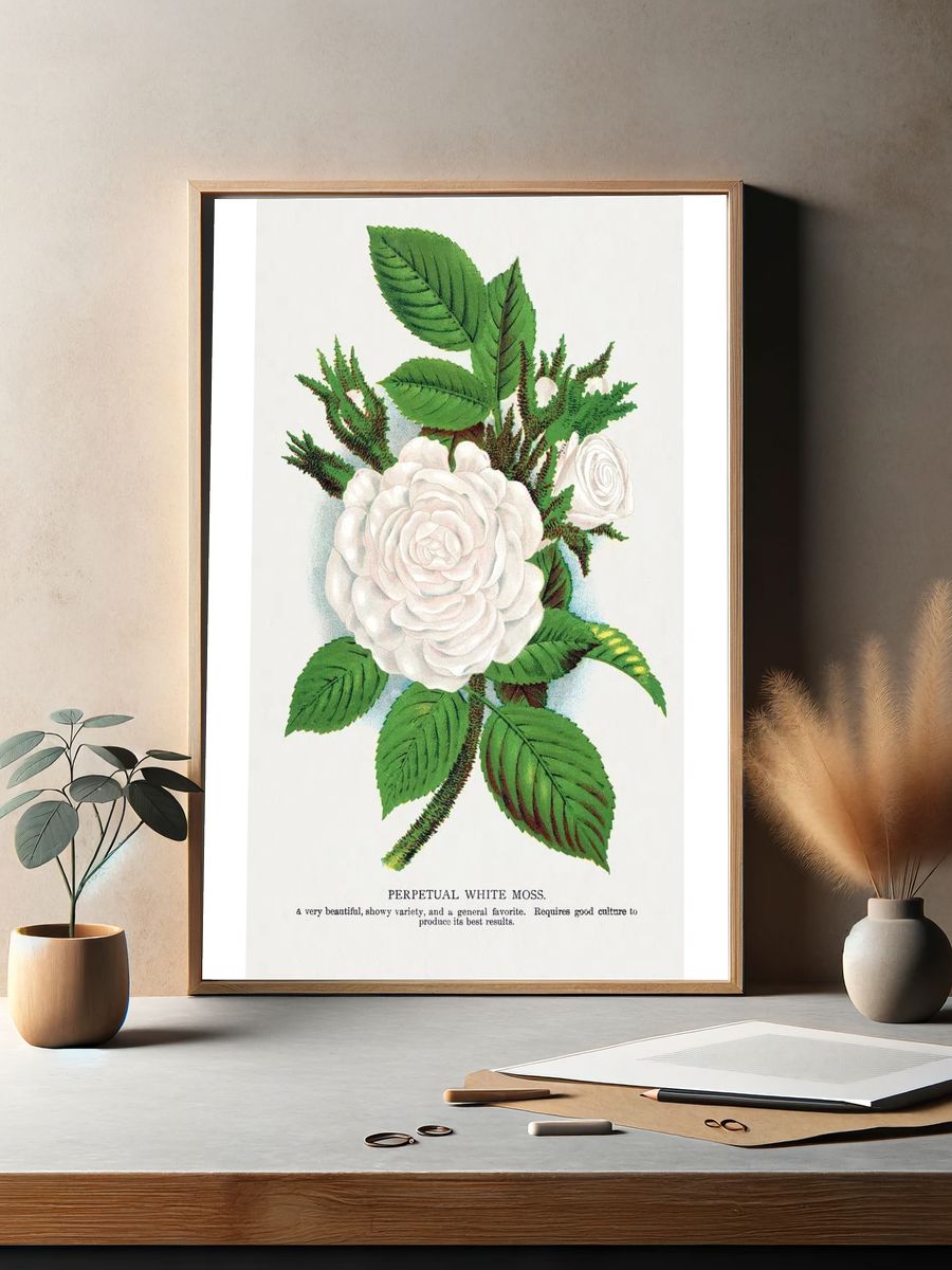 Perpetual White Moss Botanical Print. — room view 2
