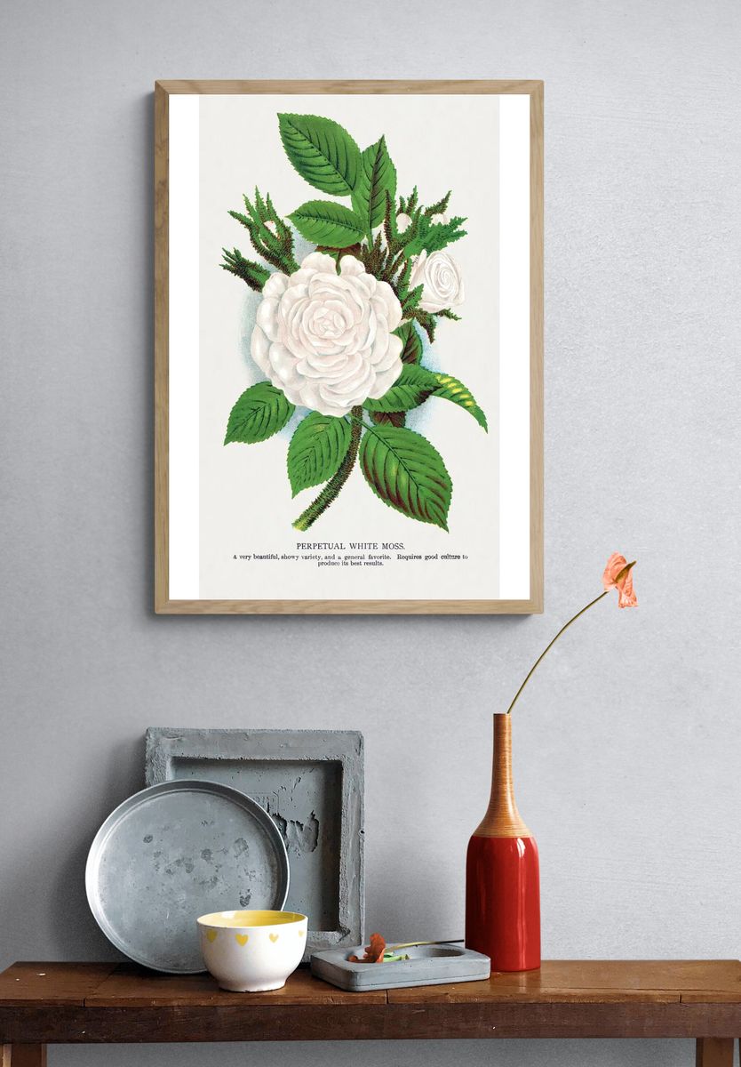 Perpetual White Moss Botanical Print. — room view 3