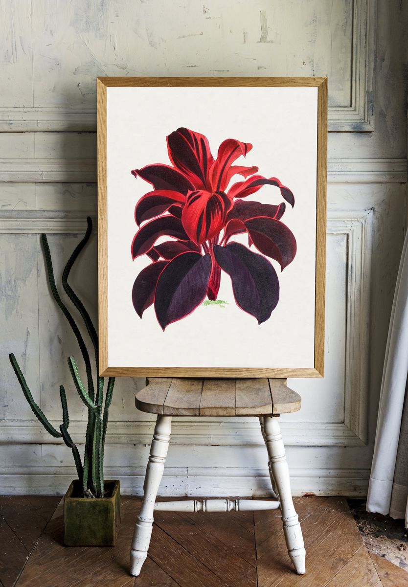 Hand drawn Hawaiian Ti plant. — room view 1