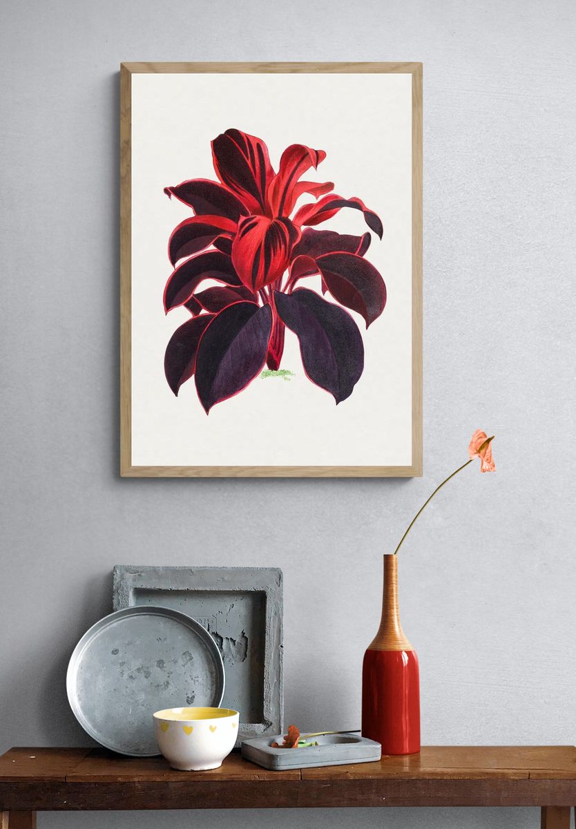 Hand drawn Hawaiian Ti plant. — room view 3