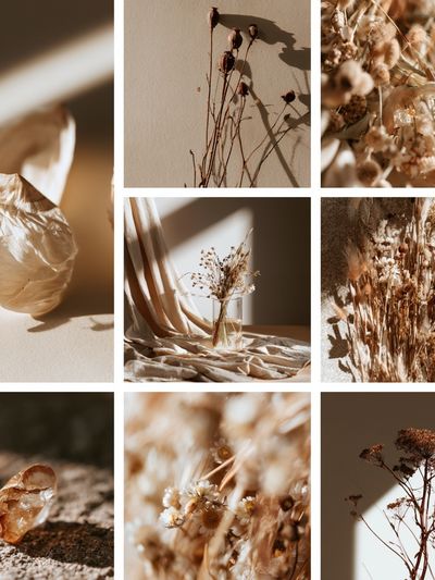 Dried Botanicals Still Life Poster.