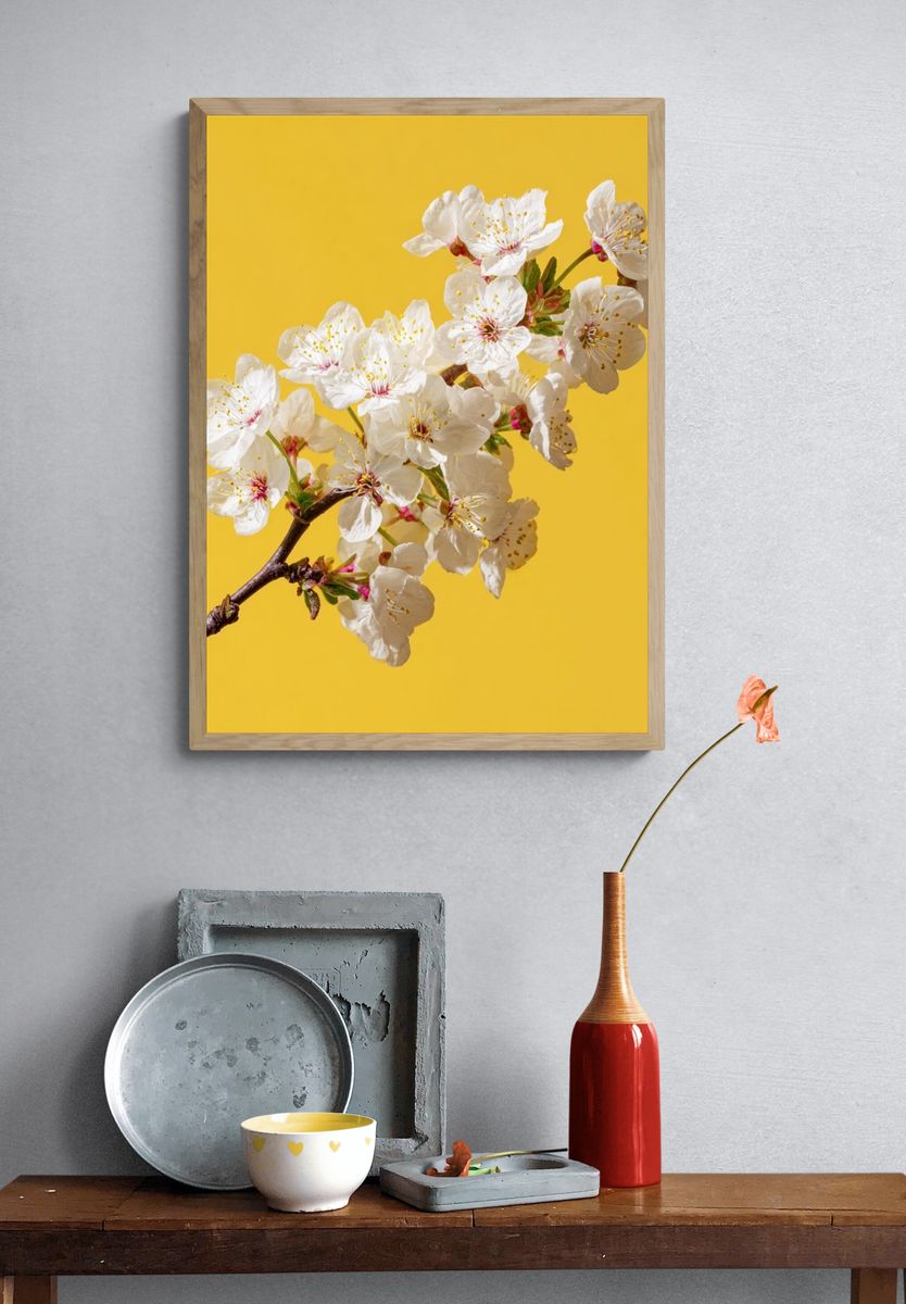 Cherry Blossom Branch Print. — room view 3