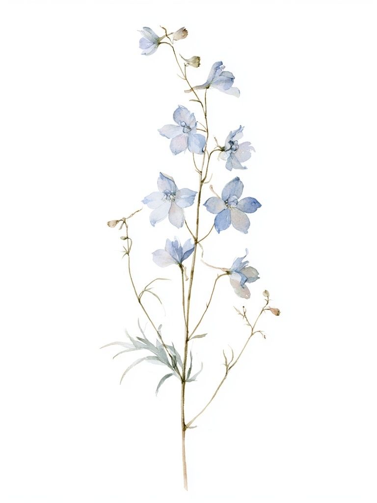 Blue Delphinium Botanical Print. poster detail