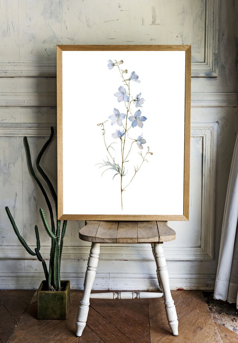 Blue Delphinium Botanical Print. room preview