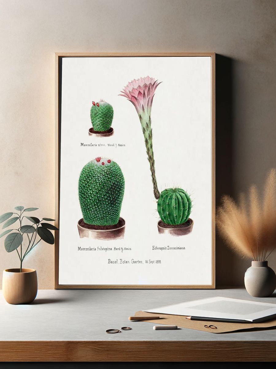 Vintage Cactus Botanical Print. — room view 2
