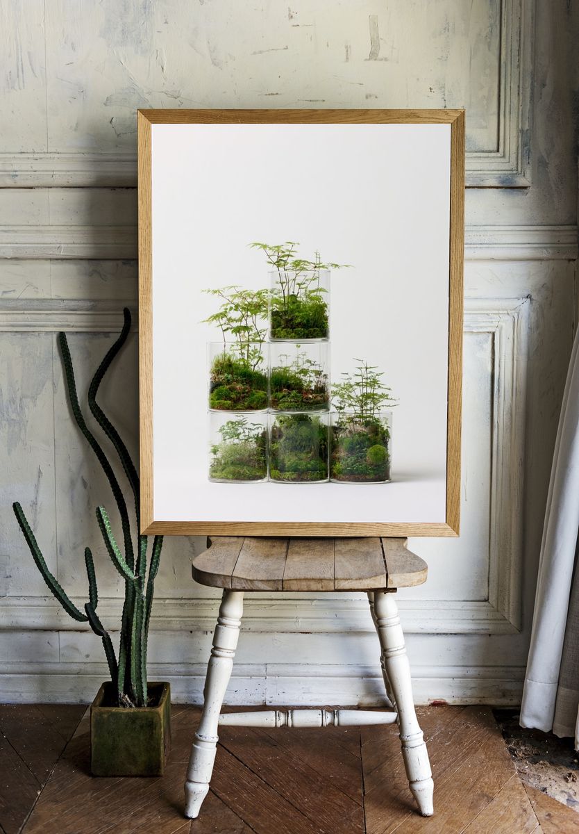 Terrarium Stacked Glass Poster. room preview