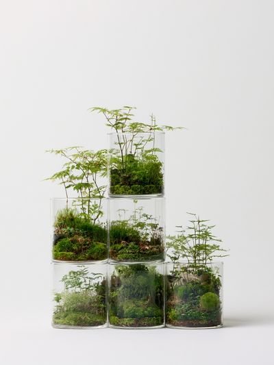 Terrarium Stacked Glass Poster.