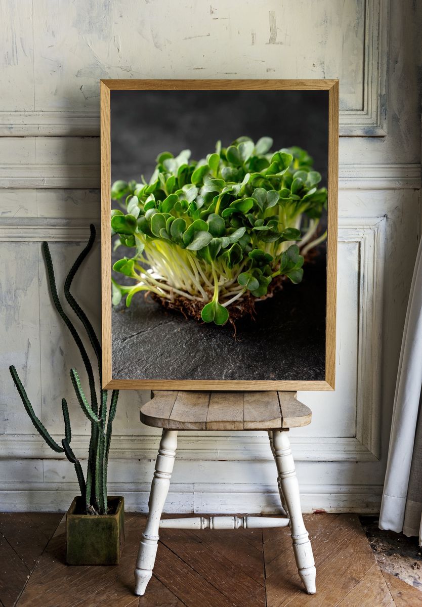 Microgreens Botanical Print. — room view 1
